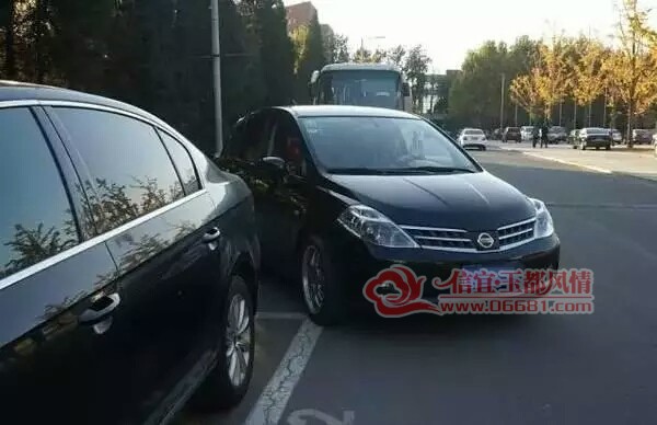 mmexport1503813001208.jpg