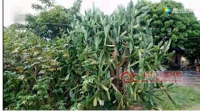 ����һ����ҵ������ƾ޴��ޱ� 10�곤3�׸���2000��