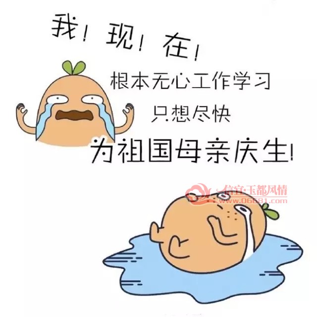 12.webp.jpg