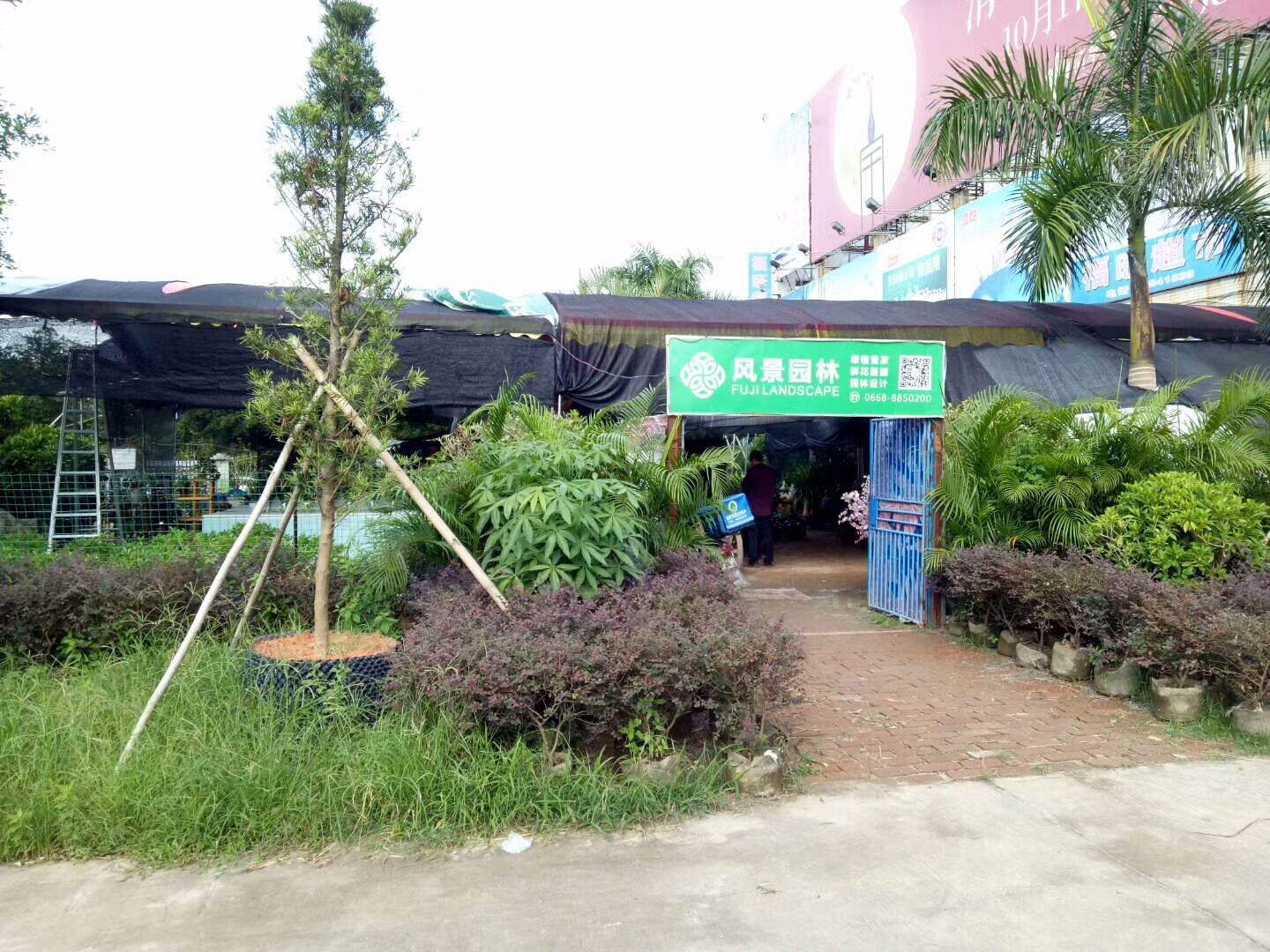 mmexport1506824074744.jpg