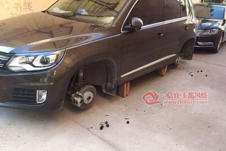 ���ղ���18.jpg