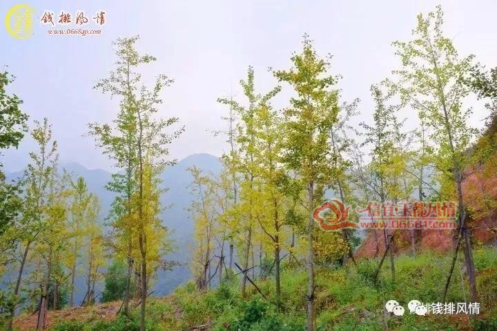 ΢��ͼƬ_20171013093738.jpg