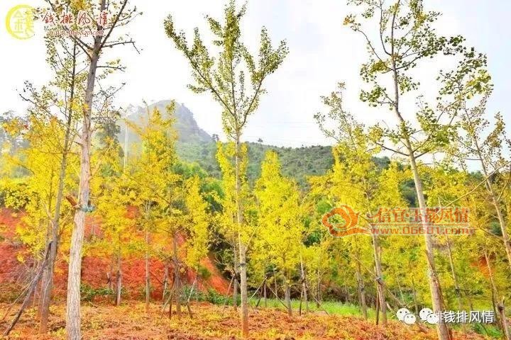΢��ͼƬ_20171013093728.jpg