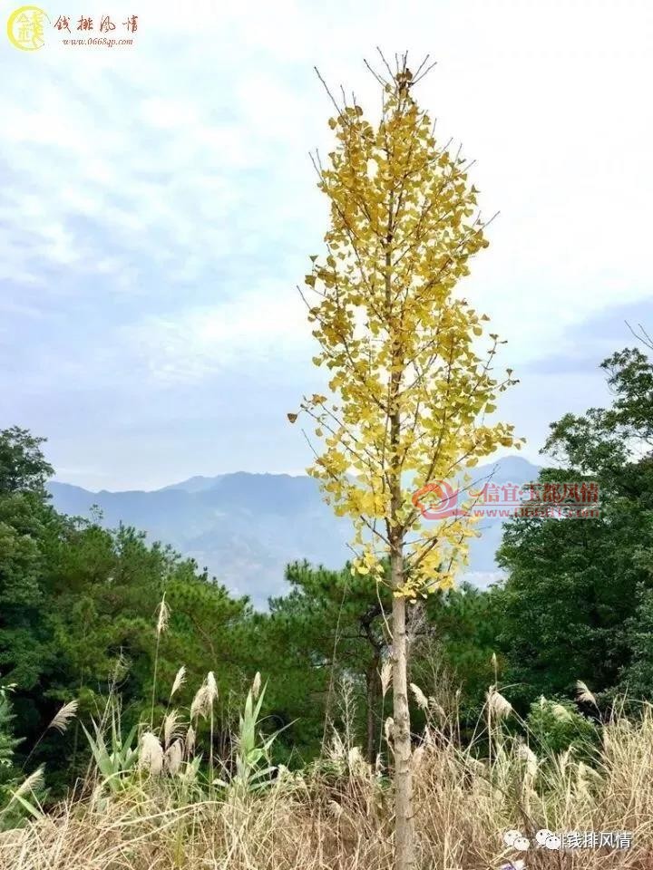 ΢��ͼƬ_20171013093731.jpg