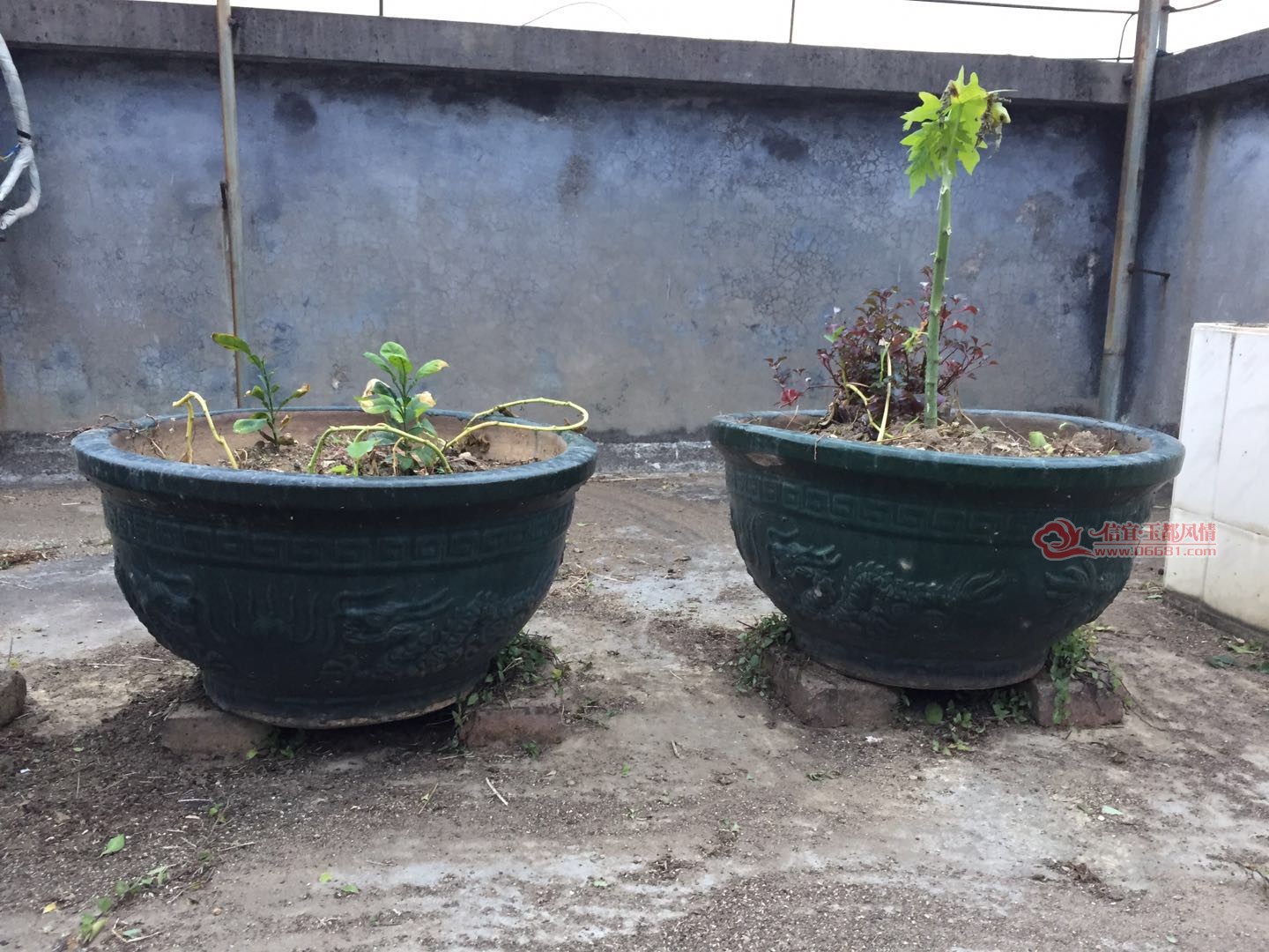 ΢��ͼƬ_20171017181959.jpg