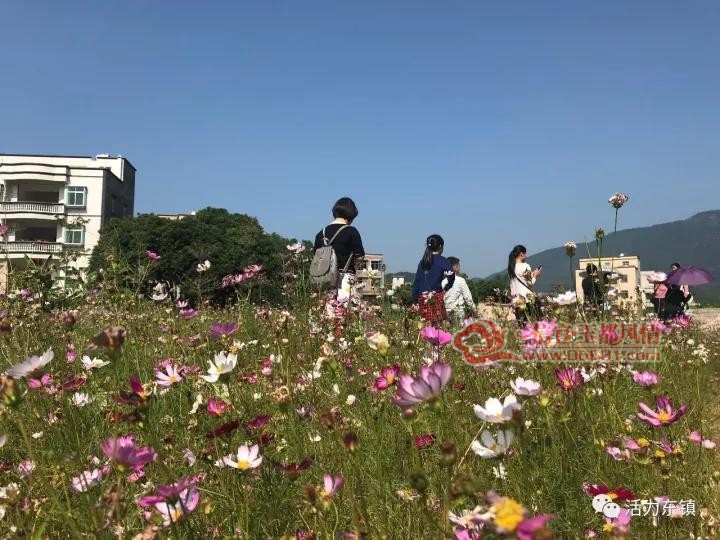 ΢��ͼƬ_20171023092941.jpg