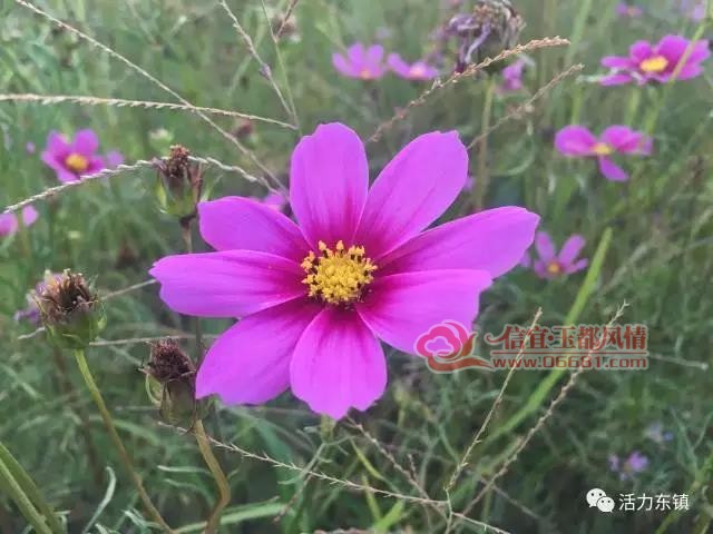 ΢��ͼƬ_20171023092958.jpg