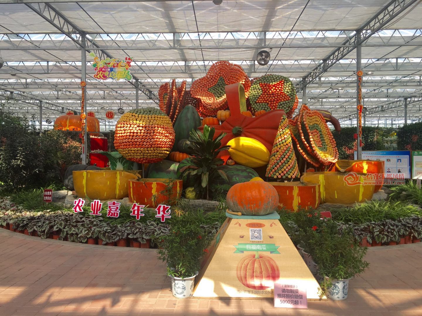 ΢��ͼƬ_20171101103430.jpg