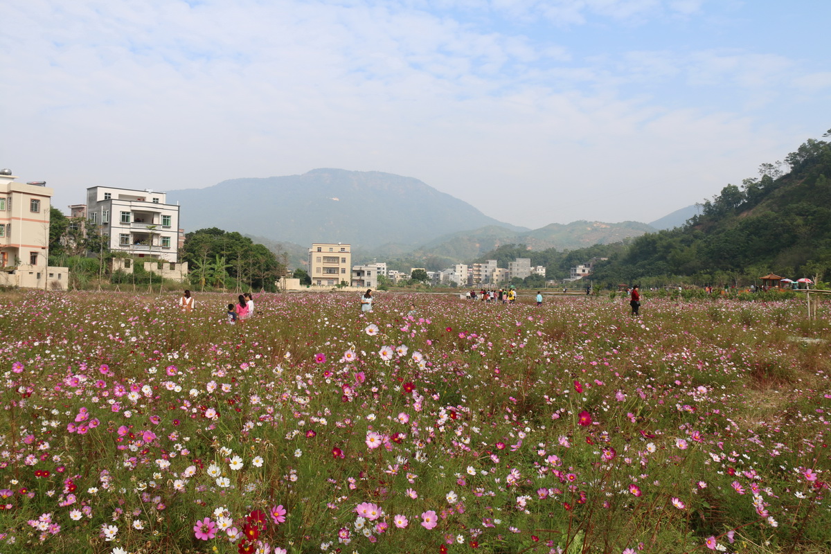 IMG_8866.jpg