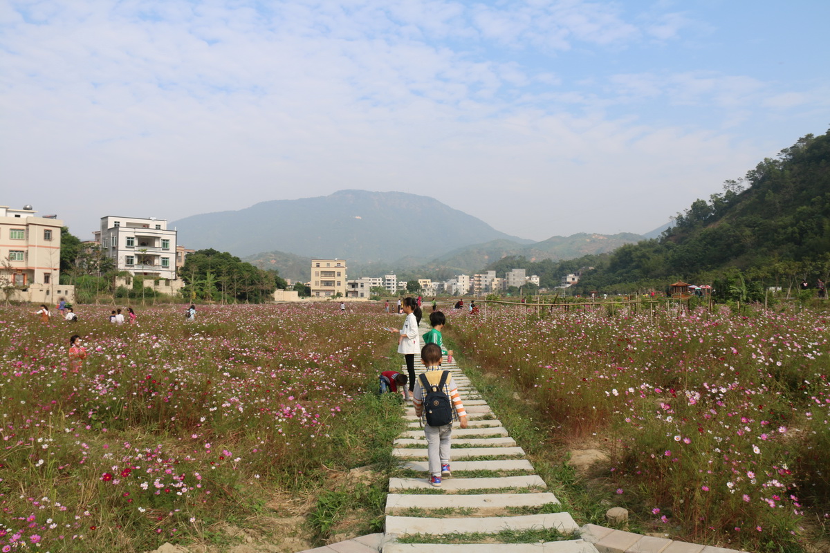 IMG_8863.jpg