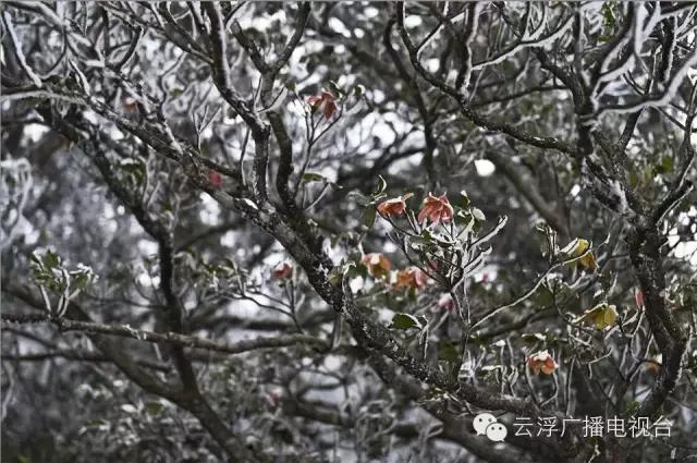 ΢��ͼƬ_20171120105824.jpg