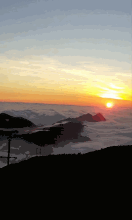 003.gif