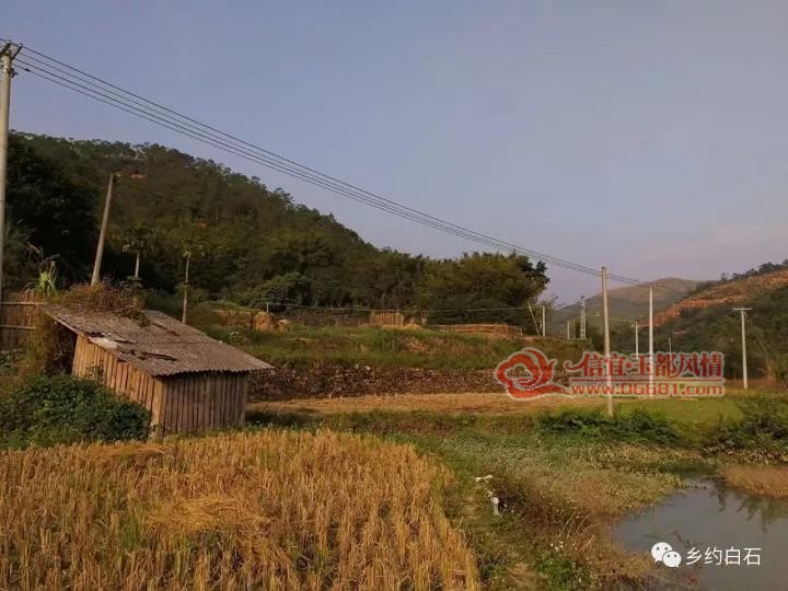 ΢��ͼƬ_20171208144202.jpg