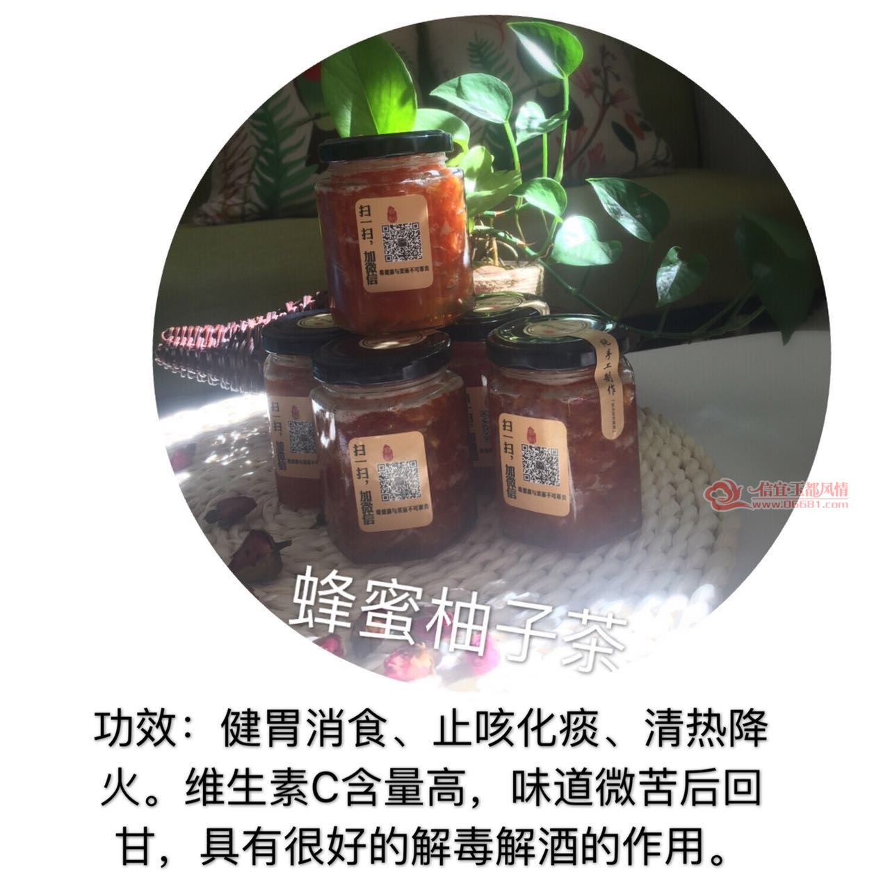 93542FC9-683C-467E-B781-270BBEB6673F.jpeg