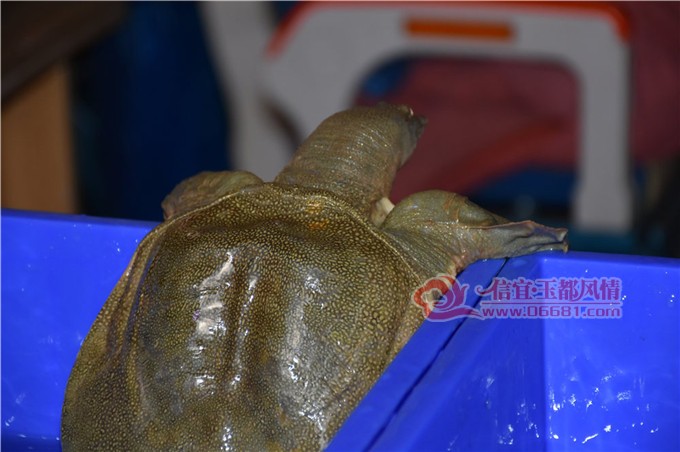 DSC_8783.JPG