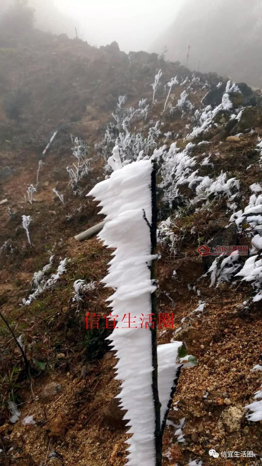 ΢��ͼƬ_20171218101646.jpg