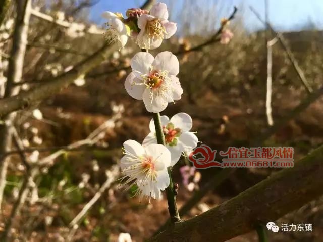 ΢��ͼƬ_20171225100451.jpg