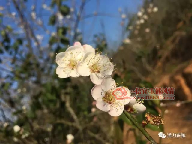 ΢��ͼƬ_20171225100443.jpg