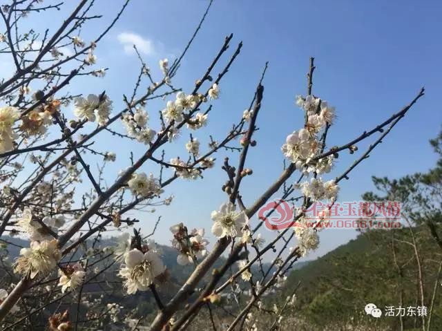 ΢��ͼƬ_20171225100459.jpg