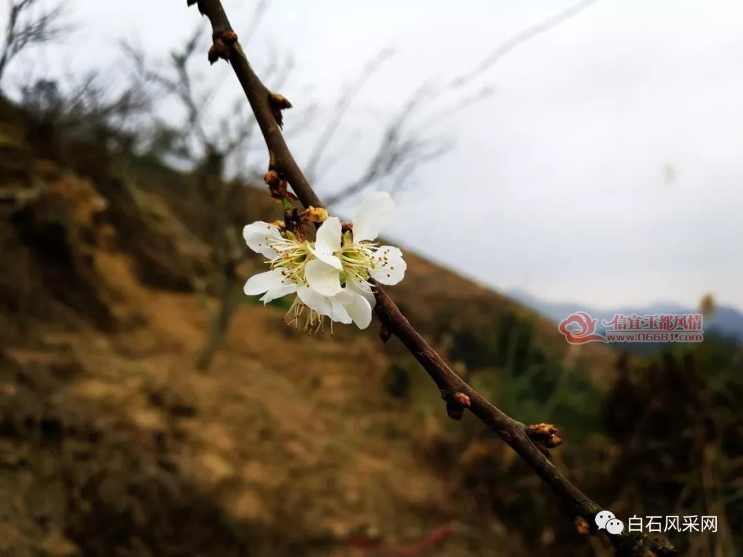 ΢��ͼƬ_20180105092005.jpg