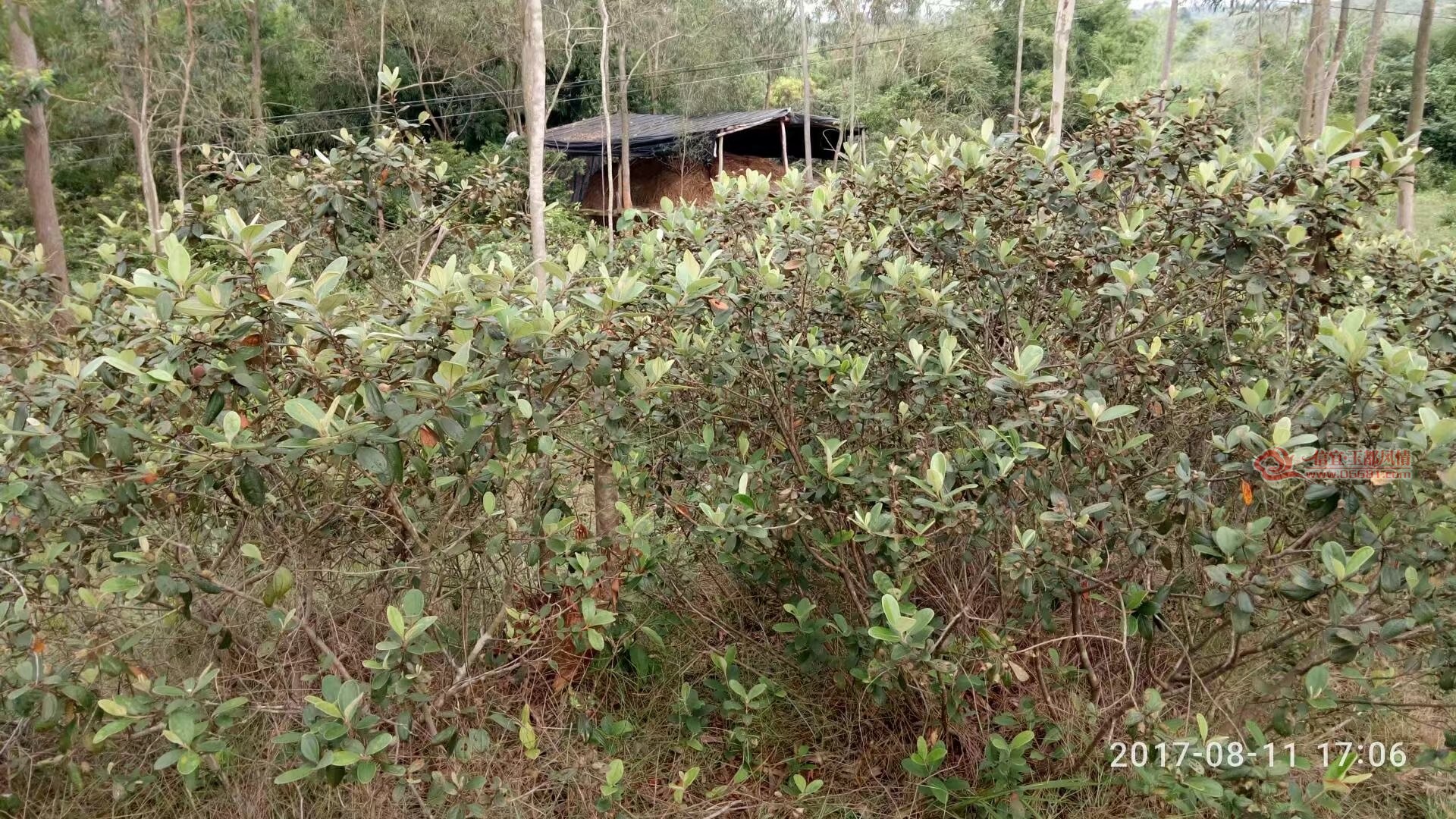 psb08112.jpg