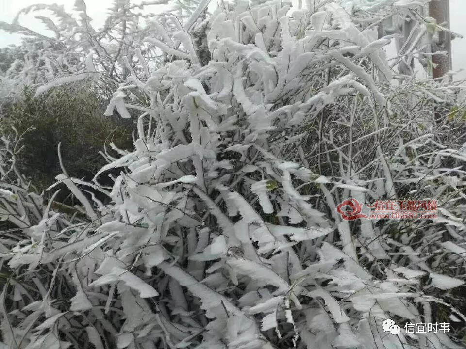 ΢��ͼƬ_20180110113435.jpg