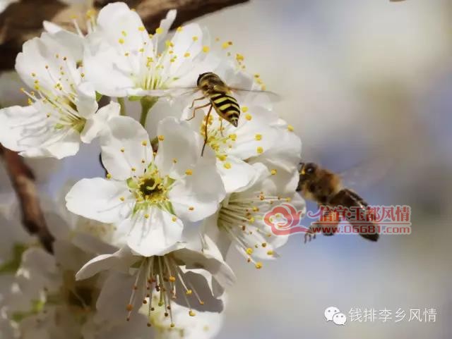 �ذ���Ǯ������2018��1��18�վ���������Ļ���