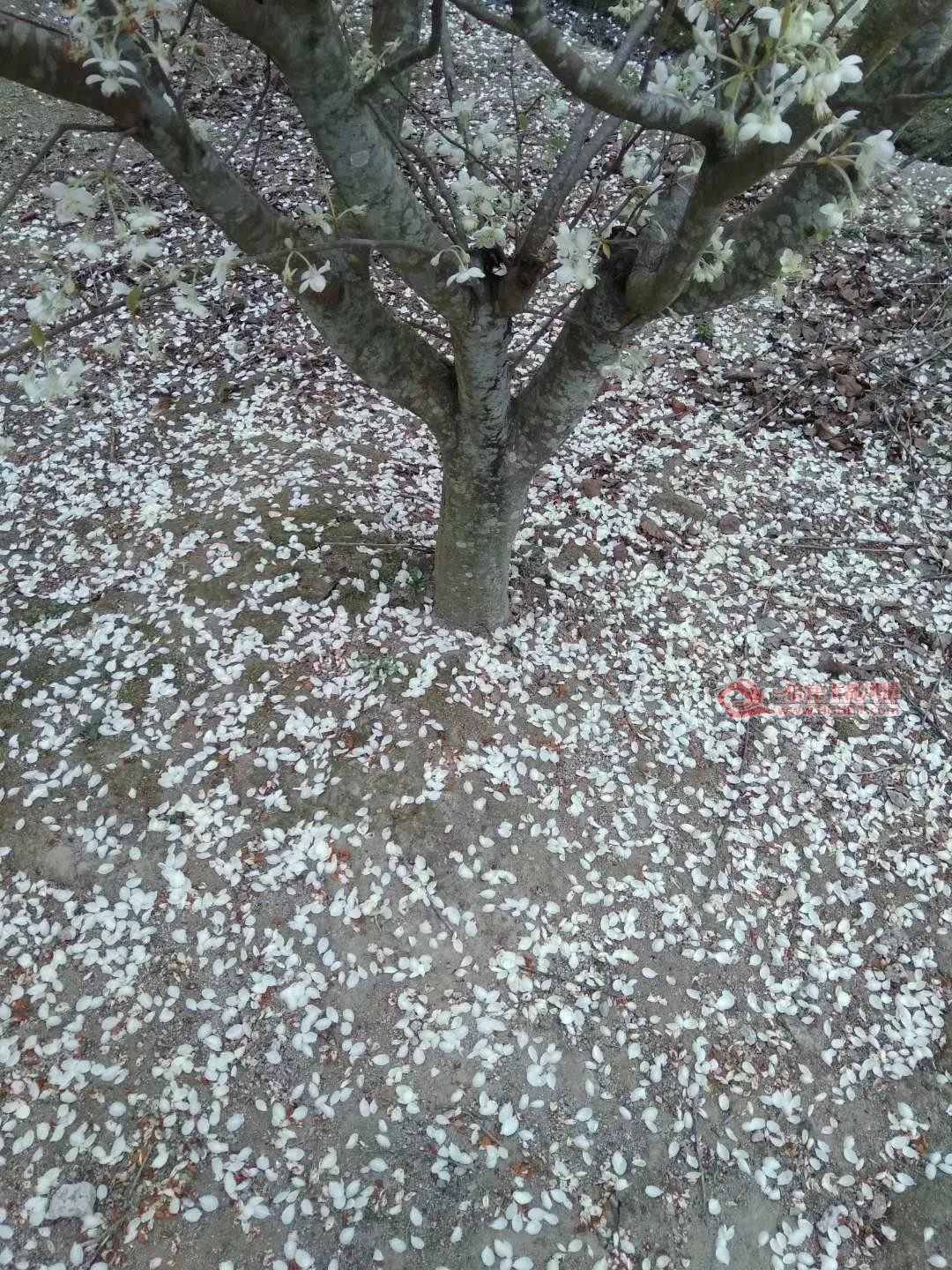 ΢��ͼƬ_20180122113621.jpg