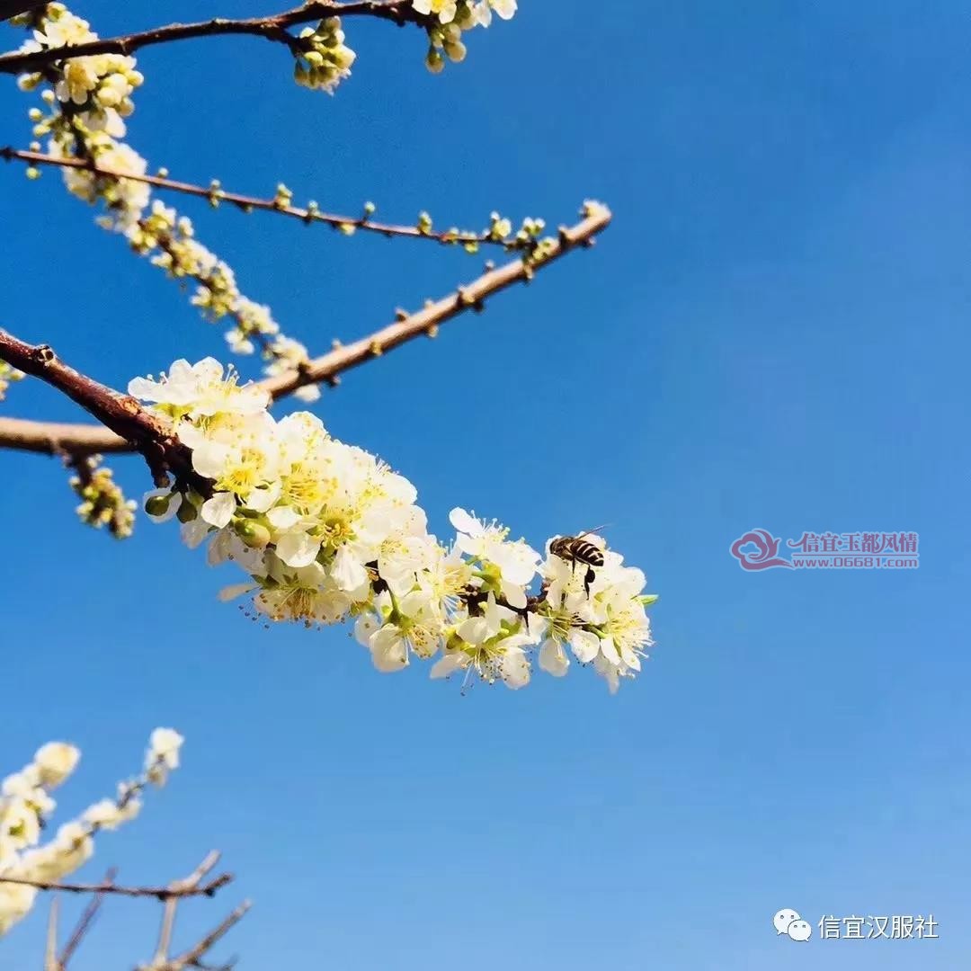 ΢��ͼƬ_20180128162552.jpg