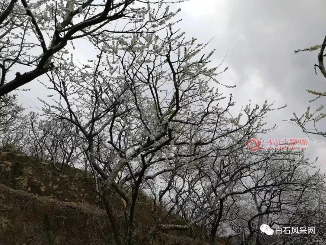 ΢��ͼƬ_20180128163051.jpg