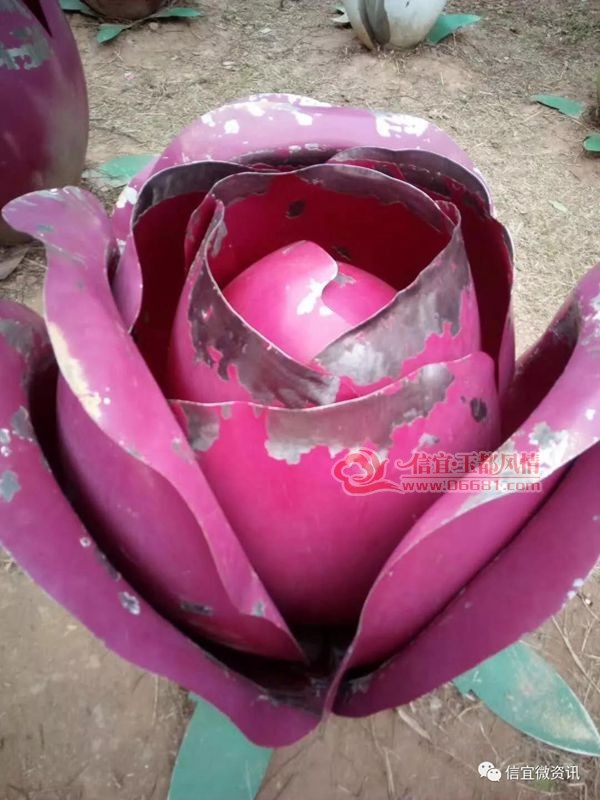 �����񶼹�԰�⼸��"��"�ַ��ӱ�"���˰���"
