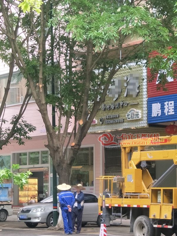 29.jpg