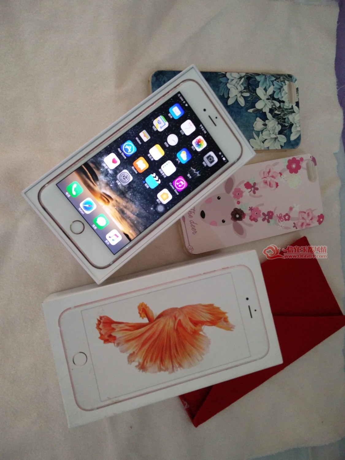 145427bmk8e440oby8fl4m.jpg