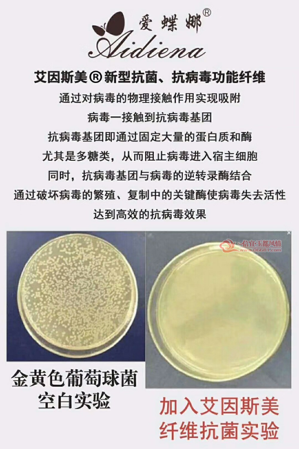 mmexport1523352976261.jpg
