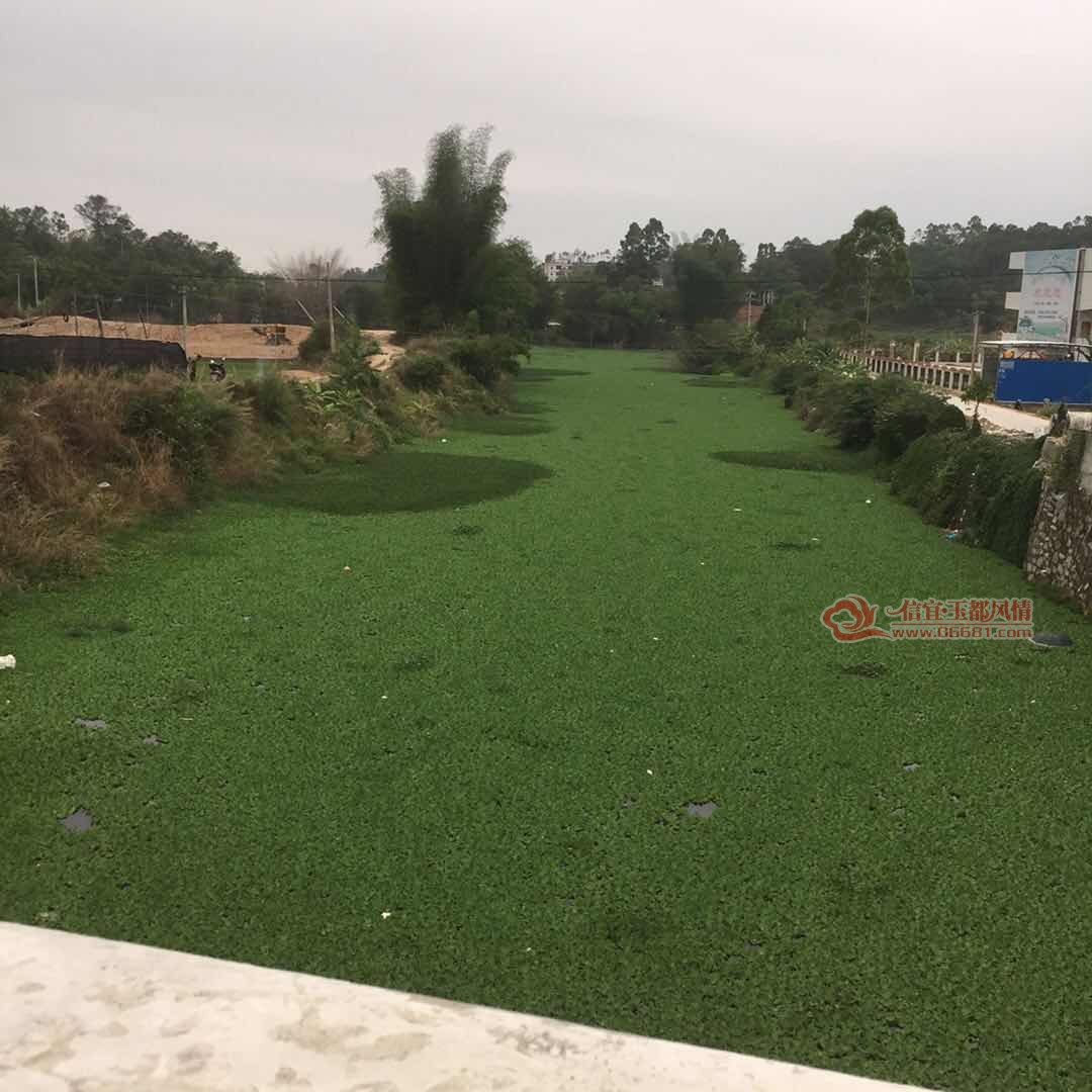 91.jpg