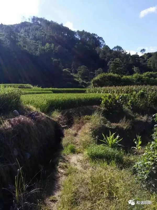 137.jpg