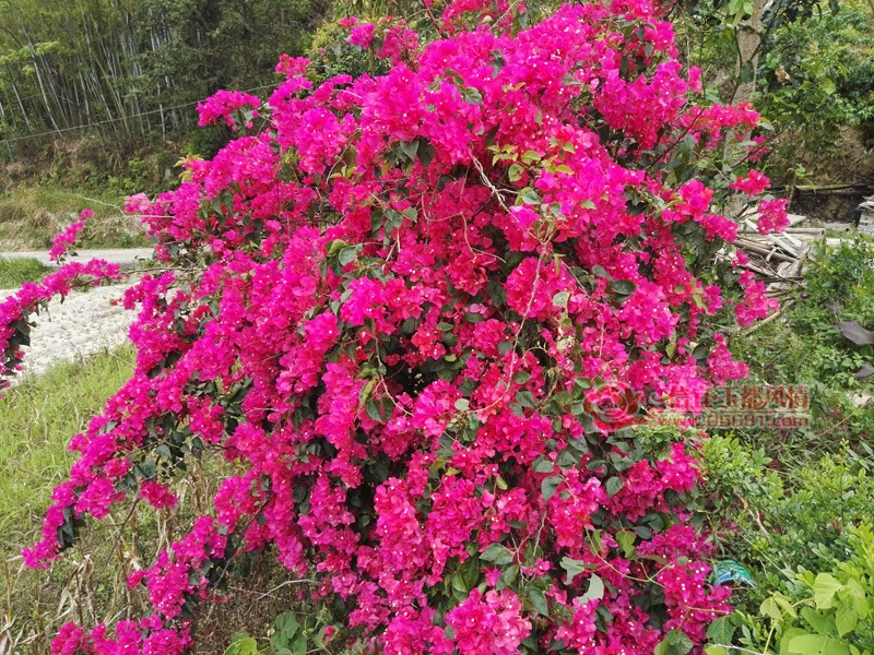 IMG_20180406_132010.jpg
