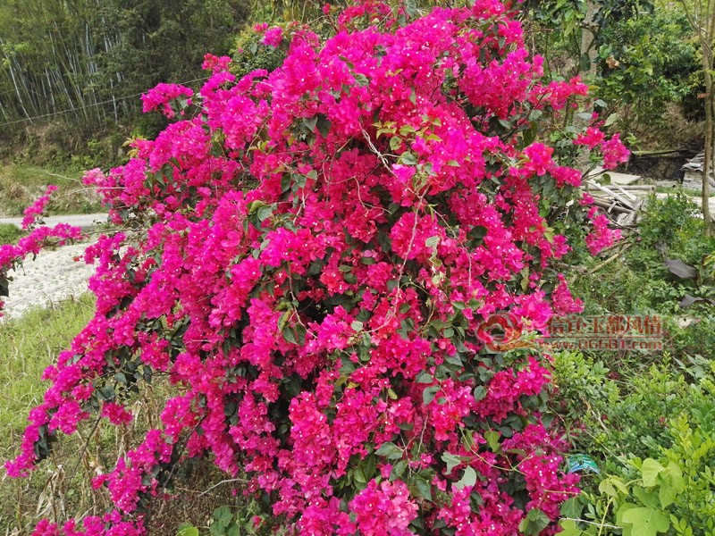 IMG_20180406_132012.jpg