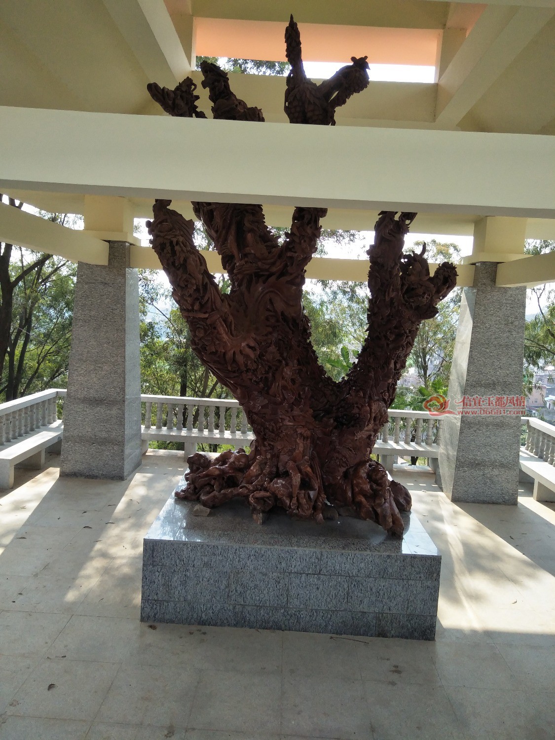 IMG20180519162412.jpg