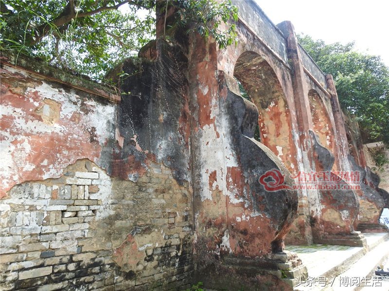 48.jpg