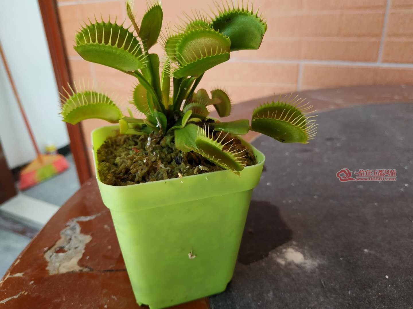 ΢��ͼƬ_20180524091110.jpg