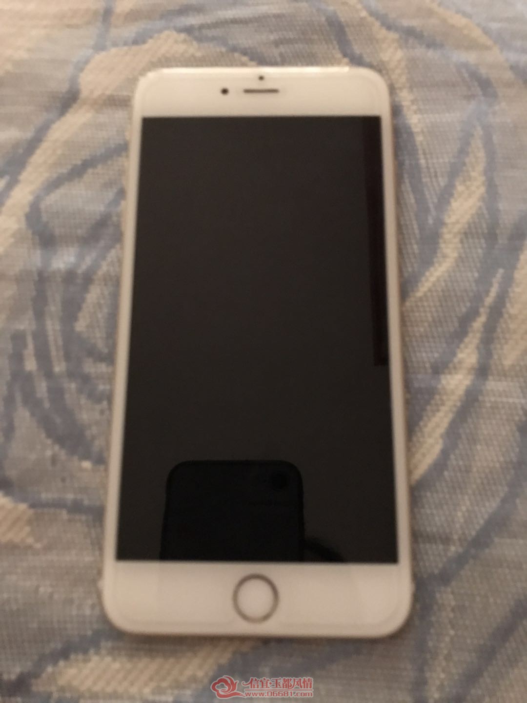329389376941625924.jpg