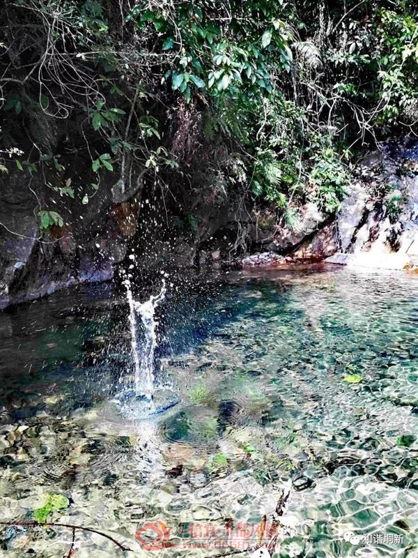 ΢��ͼƬ_20180614174003.jpg