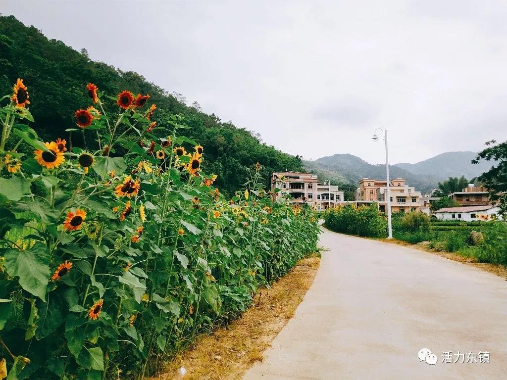΢��ͼƬ_20180622095757.jpg