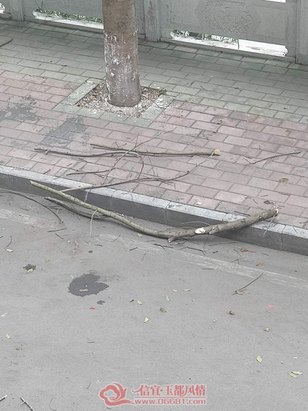 �����񶼷���_20180708_170608.jpg