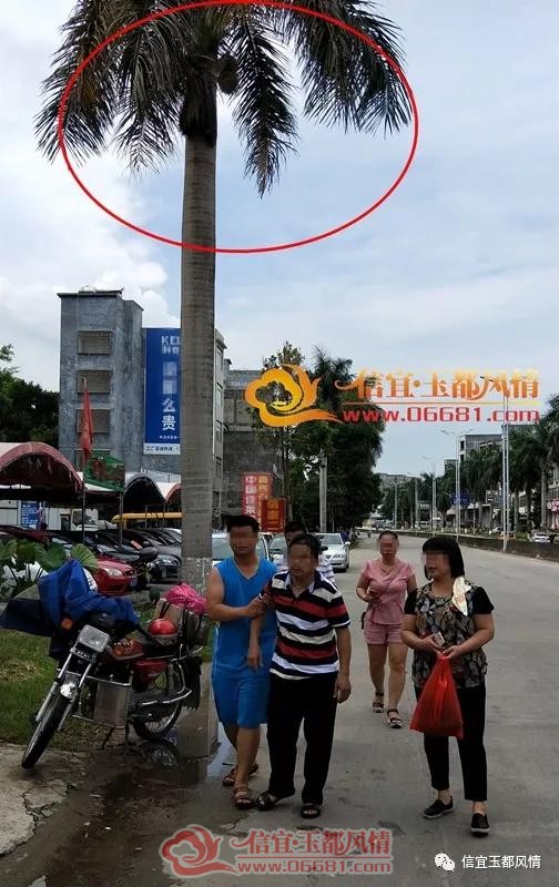 ΢��ͼƬ_20180724085145.jpg