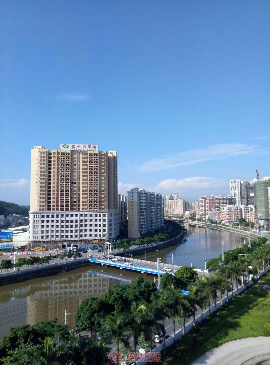 mmexport1530109858950.jpg