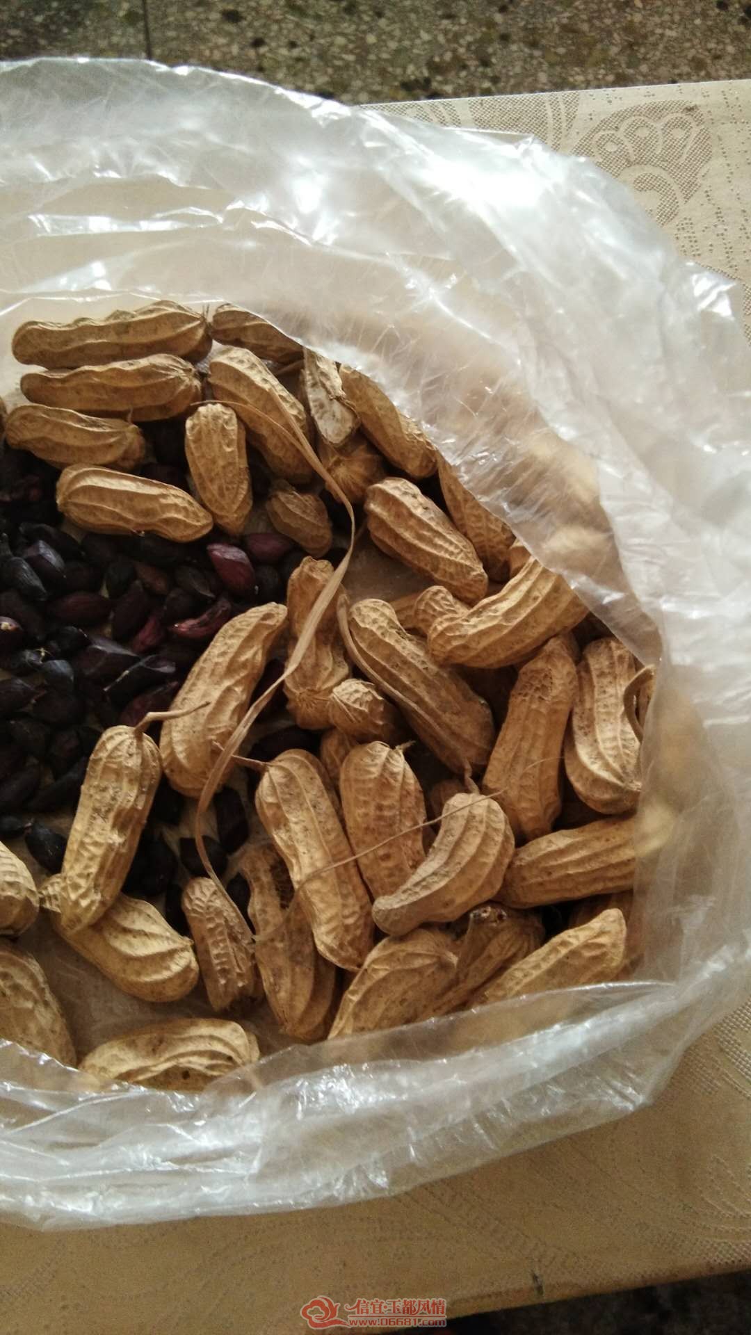 ΢��ͼƬ_20180727103219.jpg