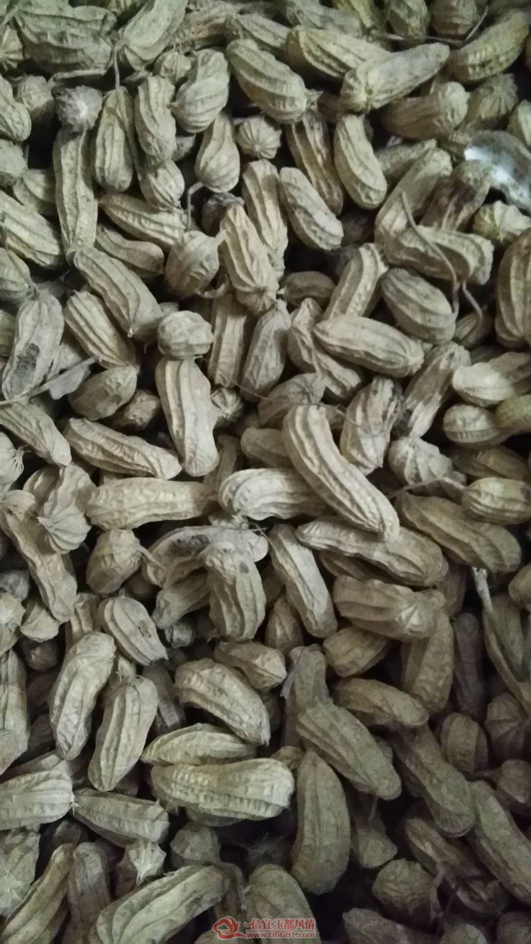 ΢��ͼƬ_20180727103229.jpg