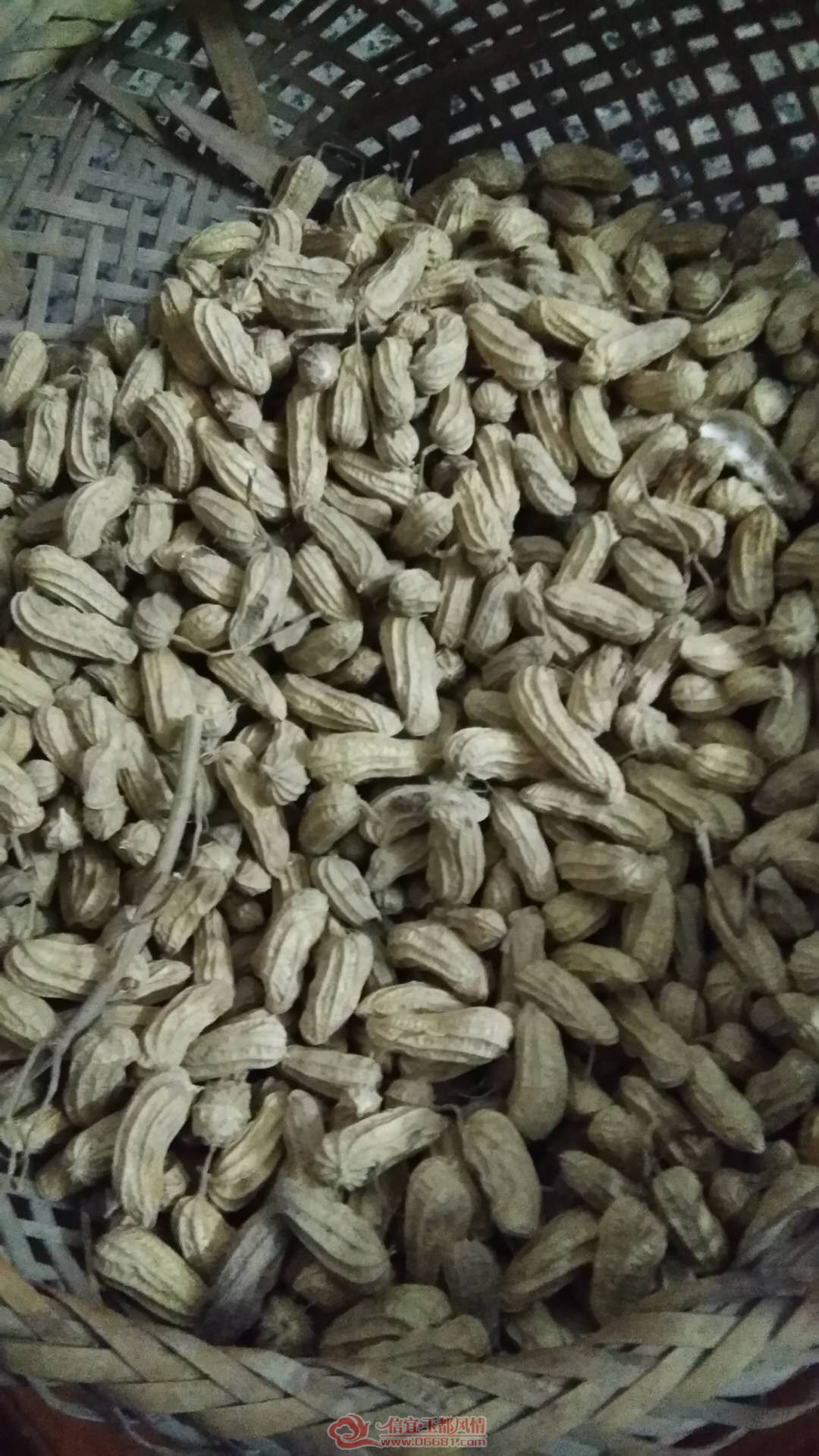 ΢��ͼƬ_20180727103239.jpg